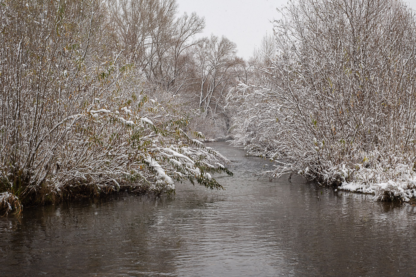 Первый снег