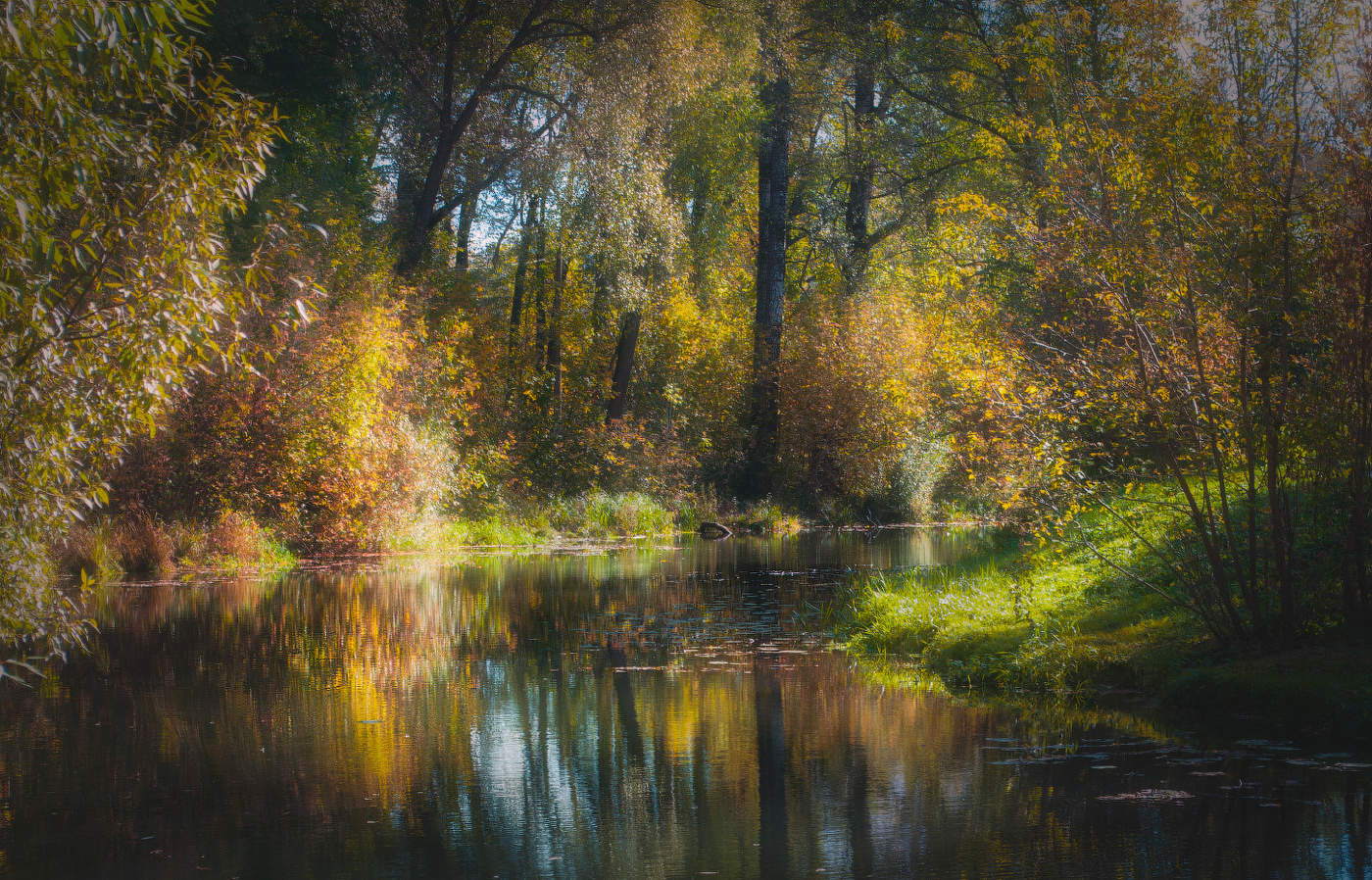 осенняя речушка