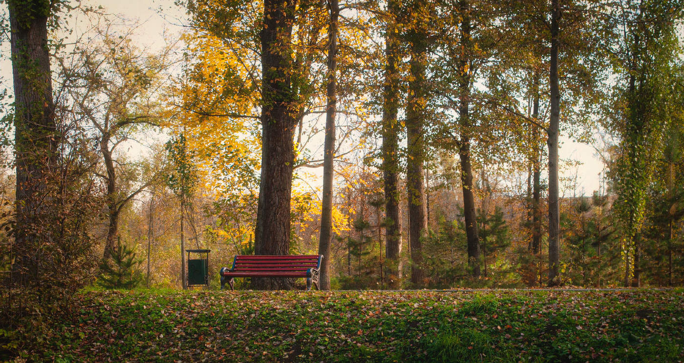лавочка в осенних Баташах