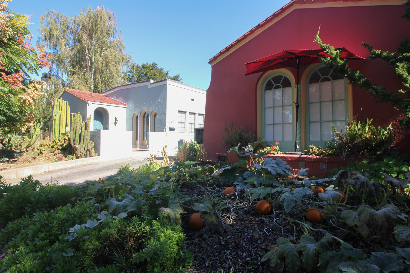 Октябрь в Калифорнии