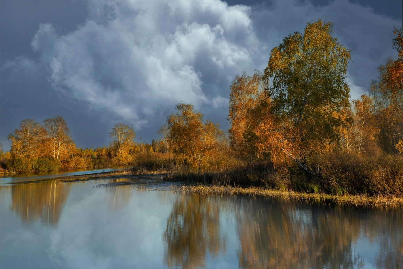 "Остров берез"