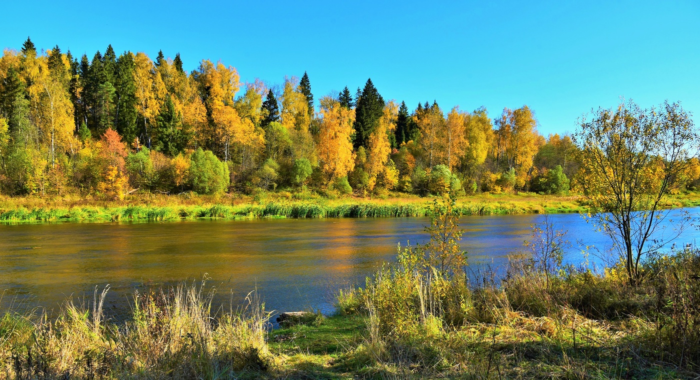 Октябрь на реке ...