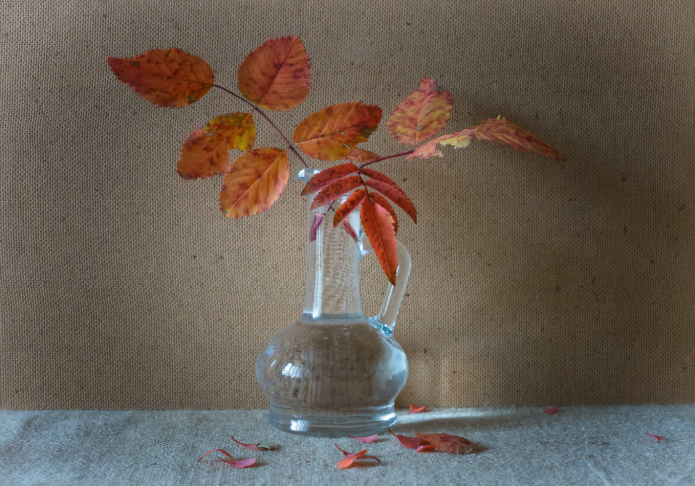 Отголоски всполохов осенних....