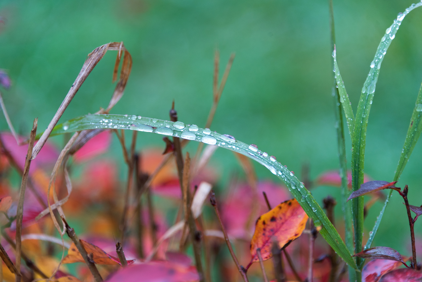 Осенняя погода.