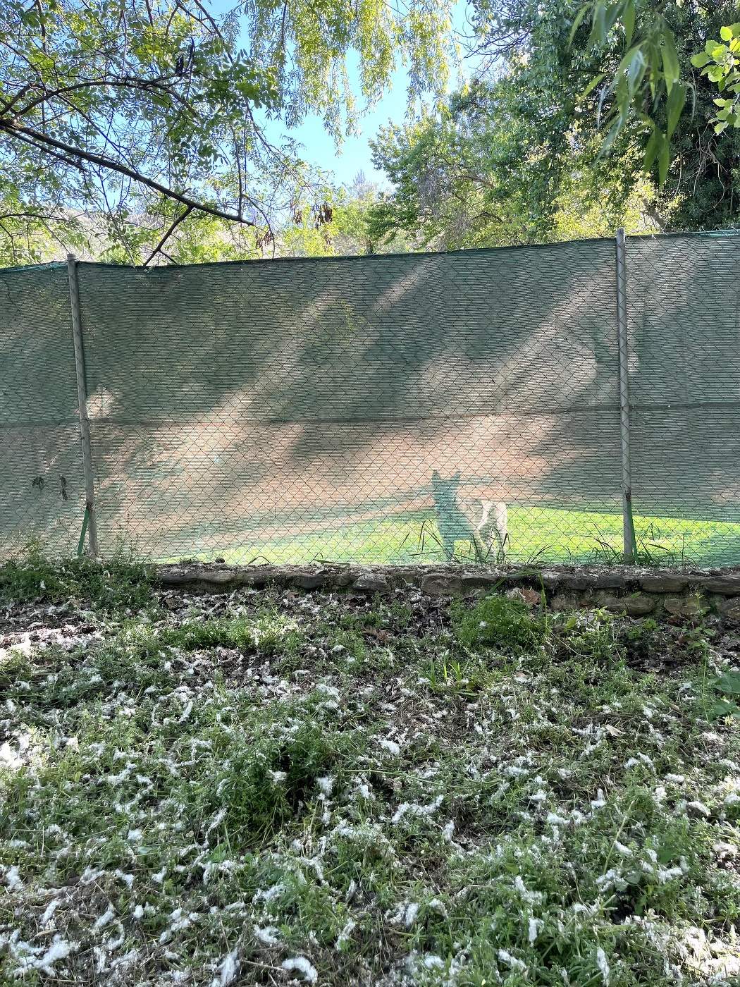 Любопытный из матрицы