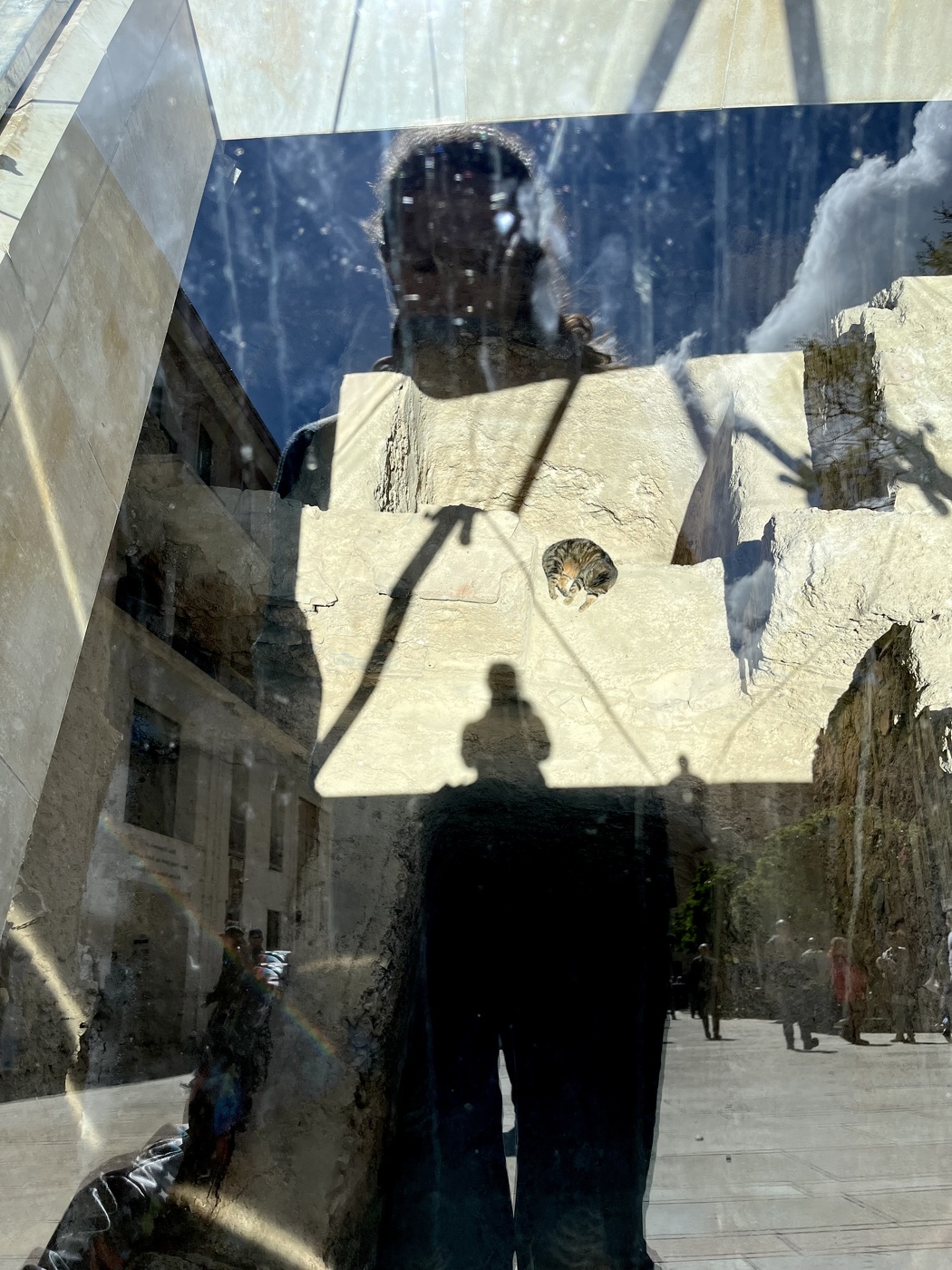 Автопортрет с котом