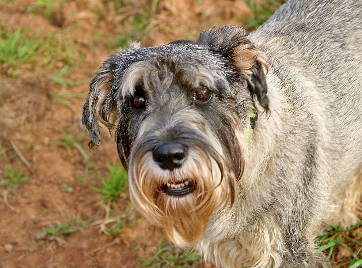 Не подходи!