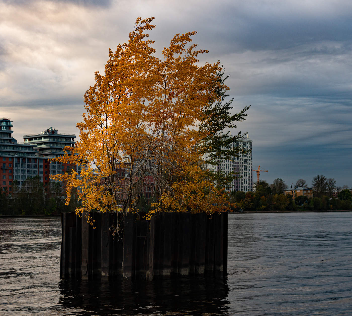 Осенний букет