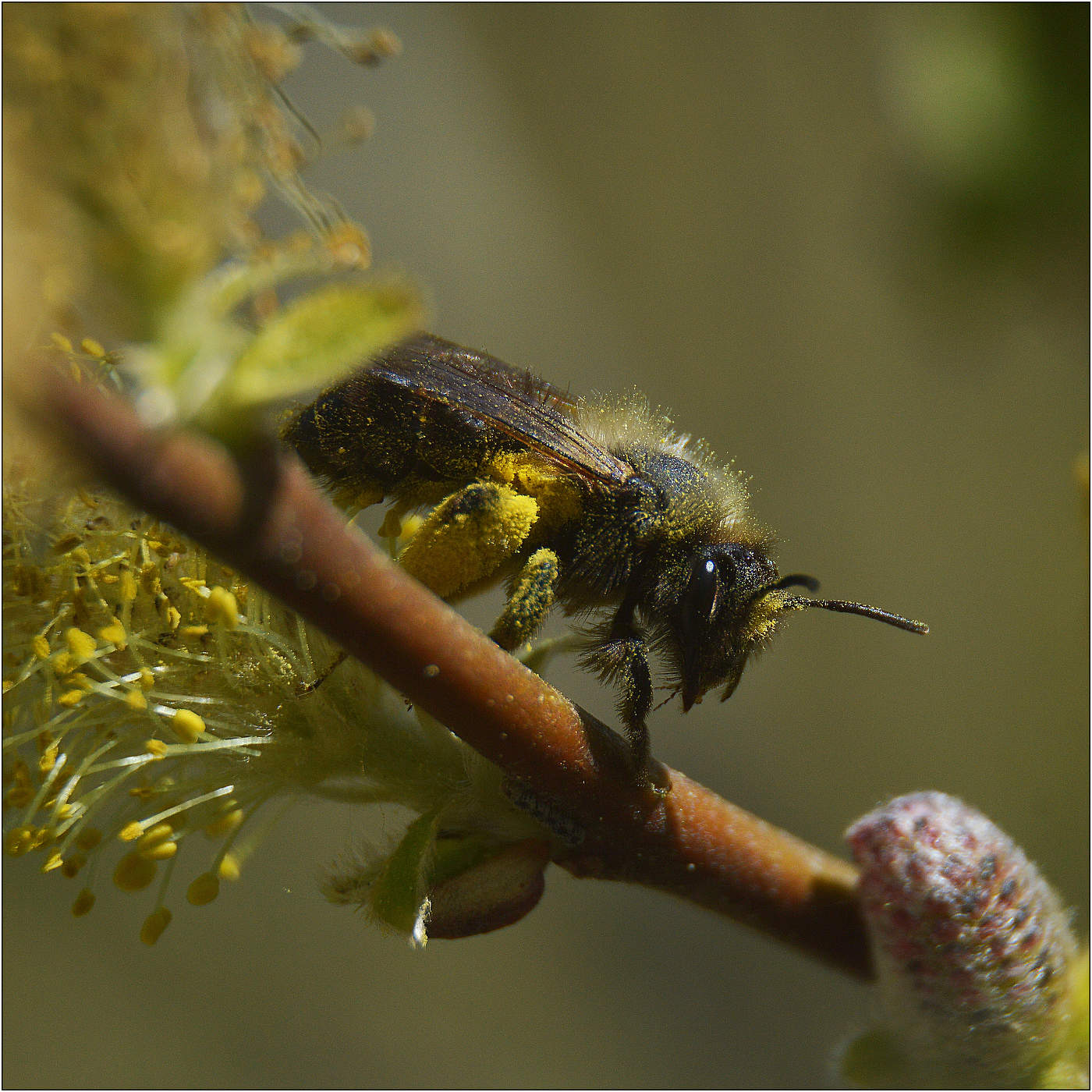 Груз забот.