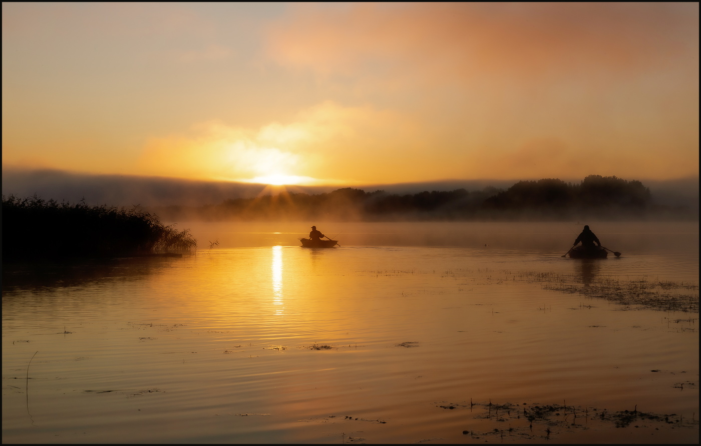 Жизнь наполненная светом