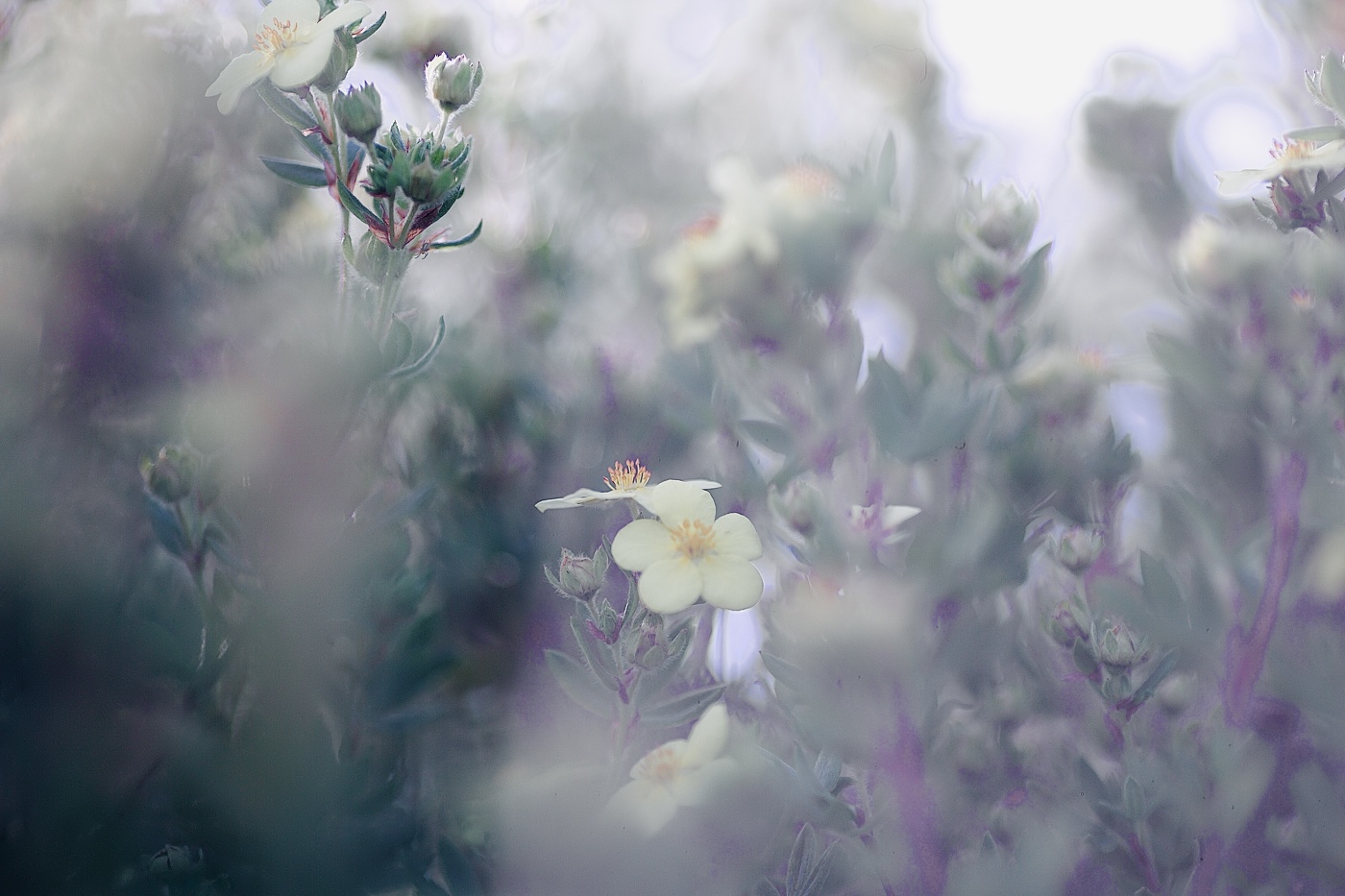 А лето пахнет...