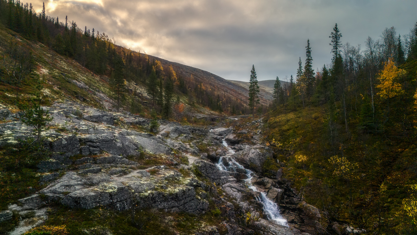 Ожидание зимы