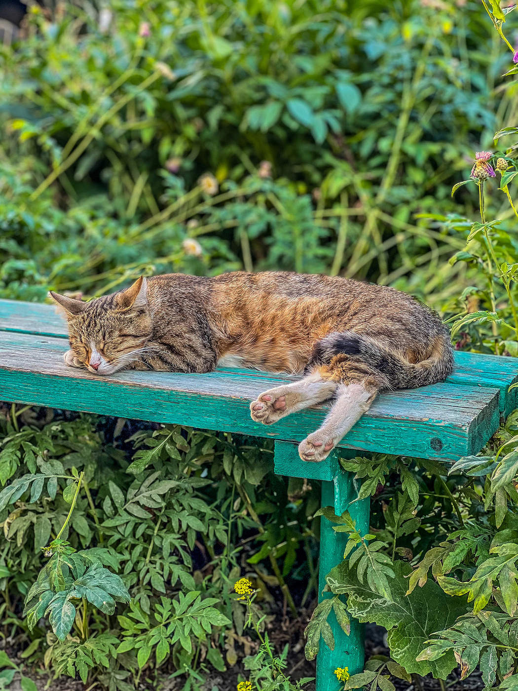 Дневной сон