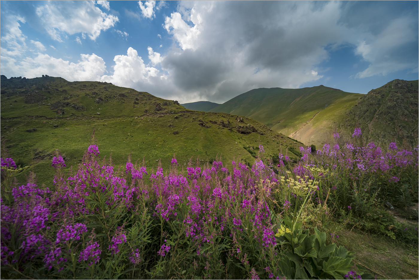 Горная клумба