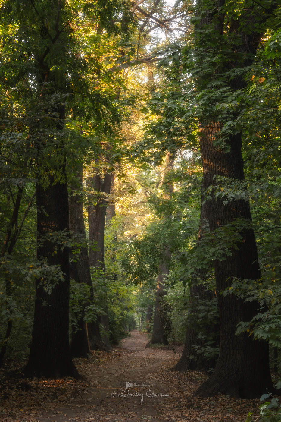 Октябрьские зарисовки...
