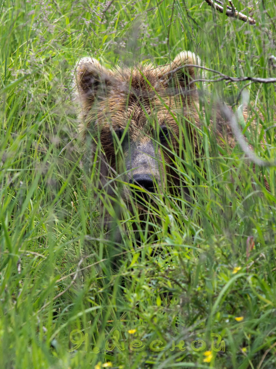 Неприятное ощущение