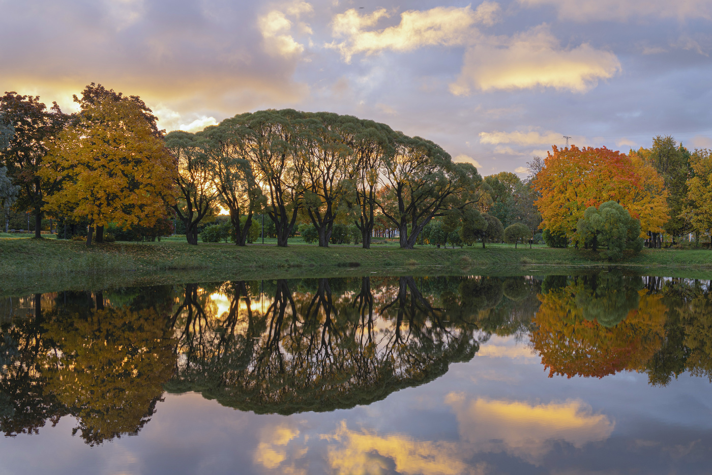 Осеннее утро