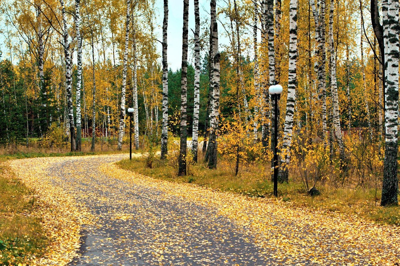 Осенняя дорога