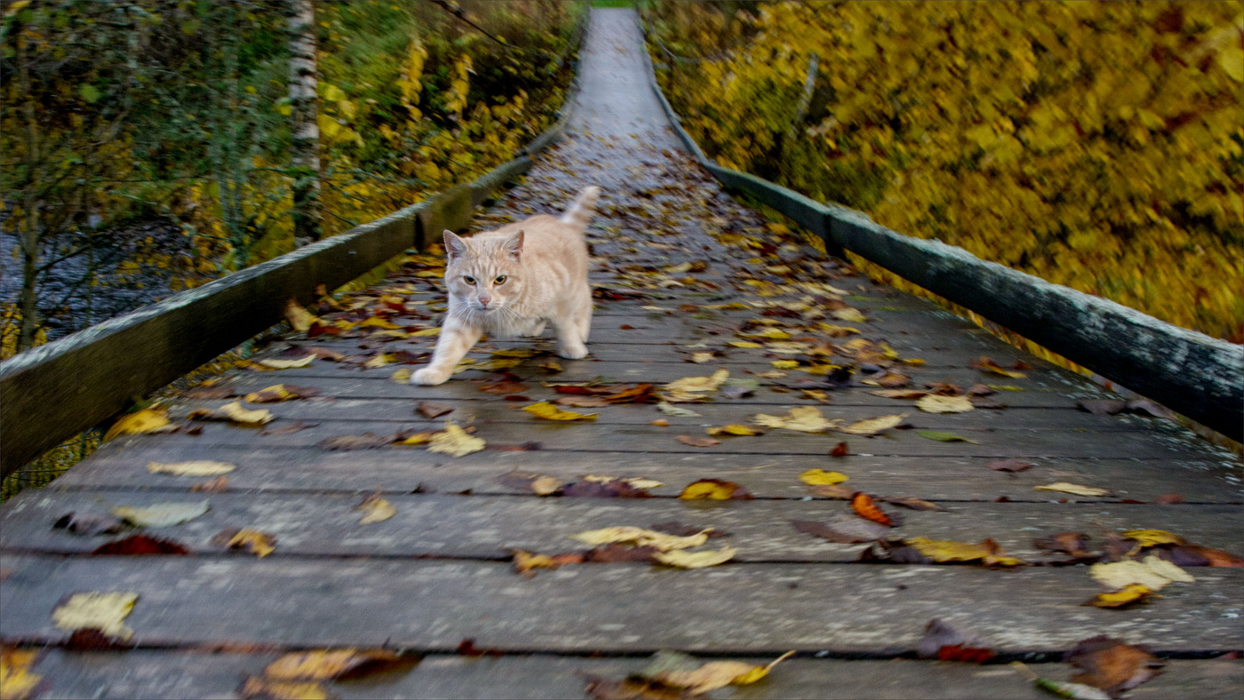 Жизнь вокруг