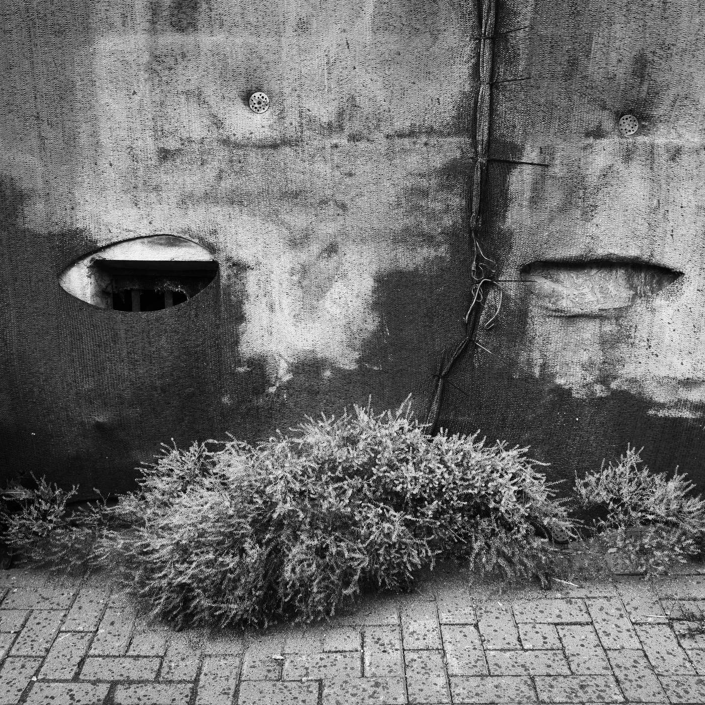 Спонтанный портрет