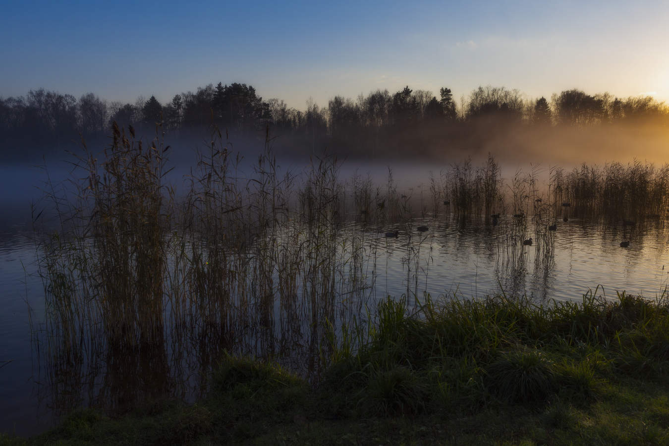 "Синий туман, Похож на обман..."