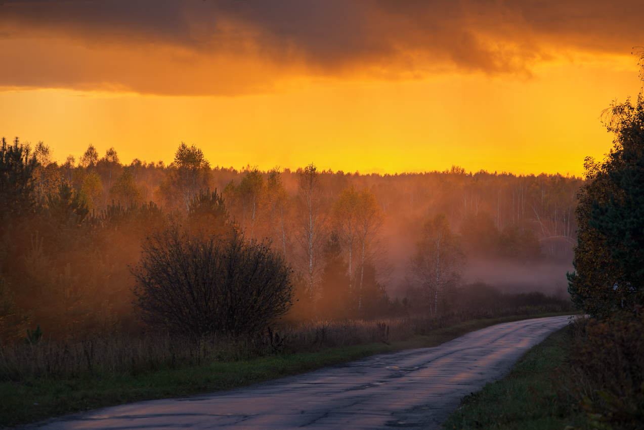 На закате после дождя.