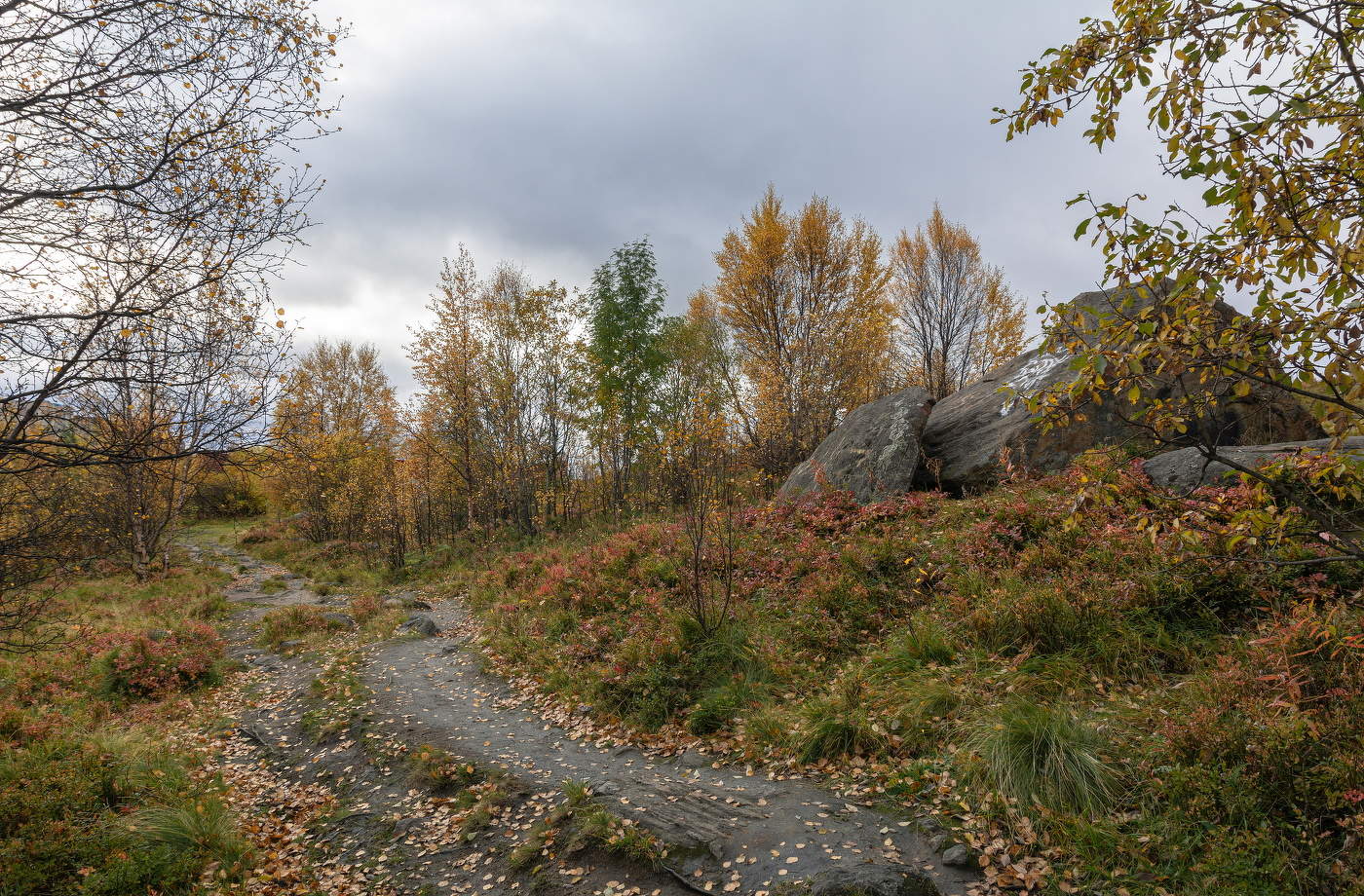 осенними тропами