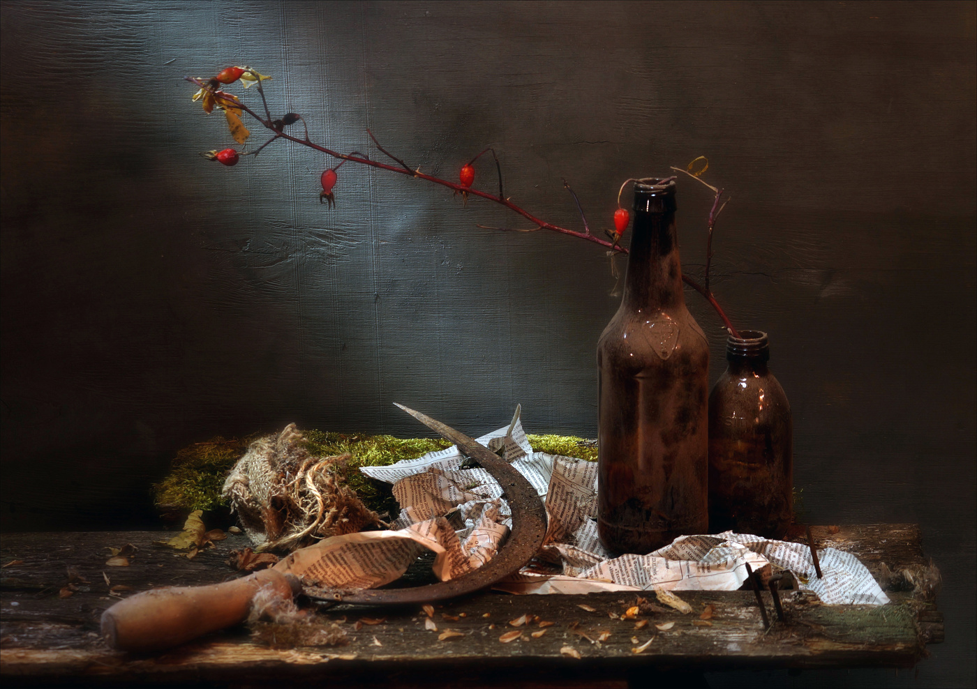 С шиповником