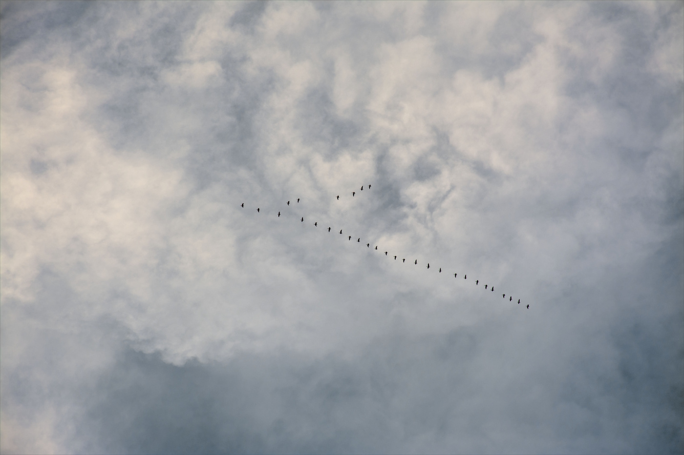 Жизнь вокруг