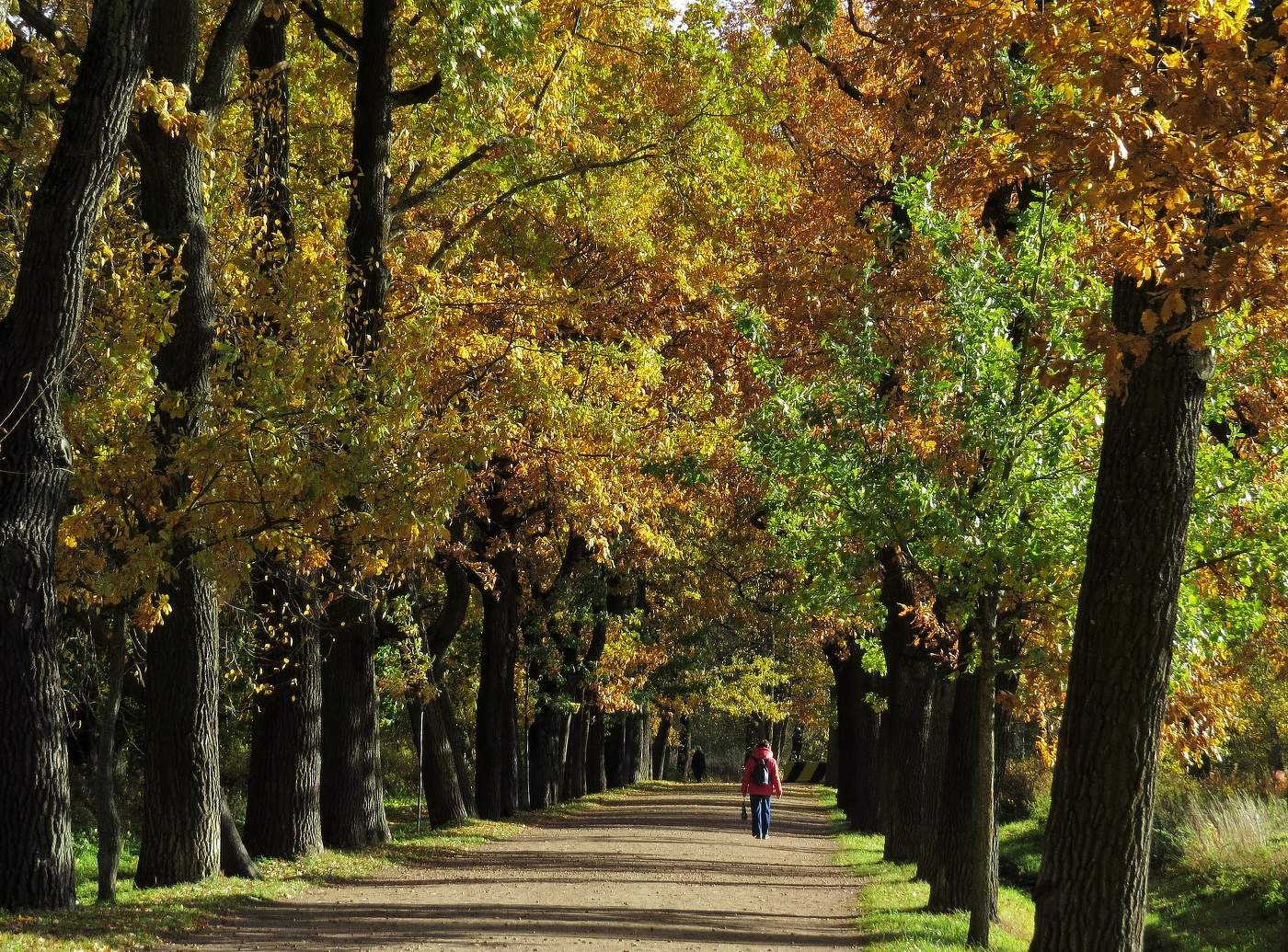 Осень приглашает