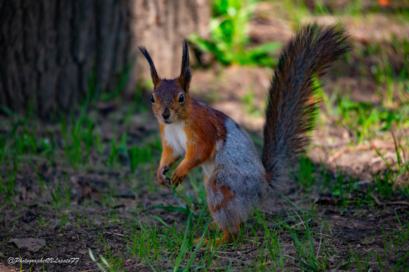 И чего смотрим?