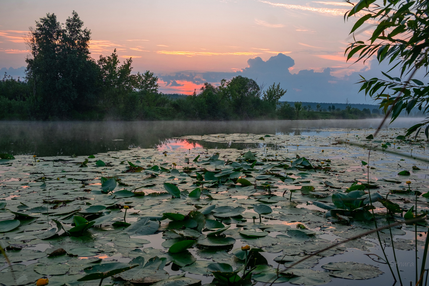 Август. Утро.