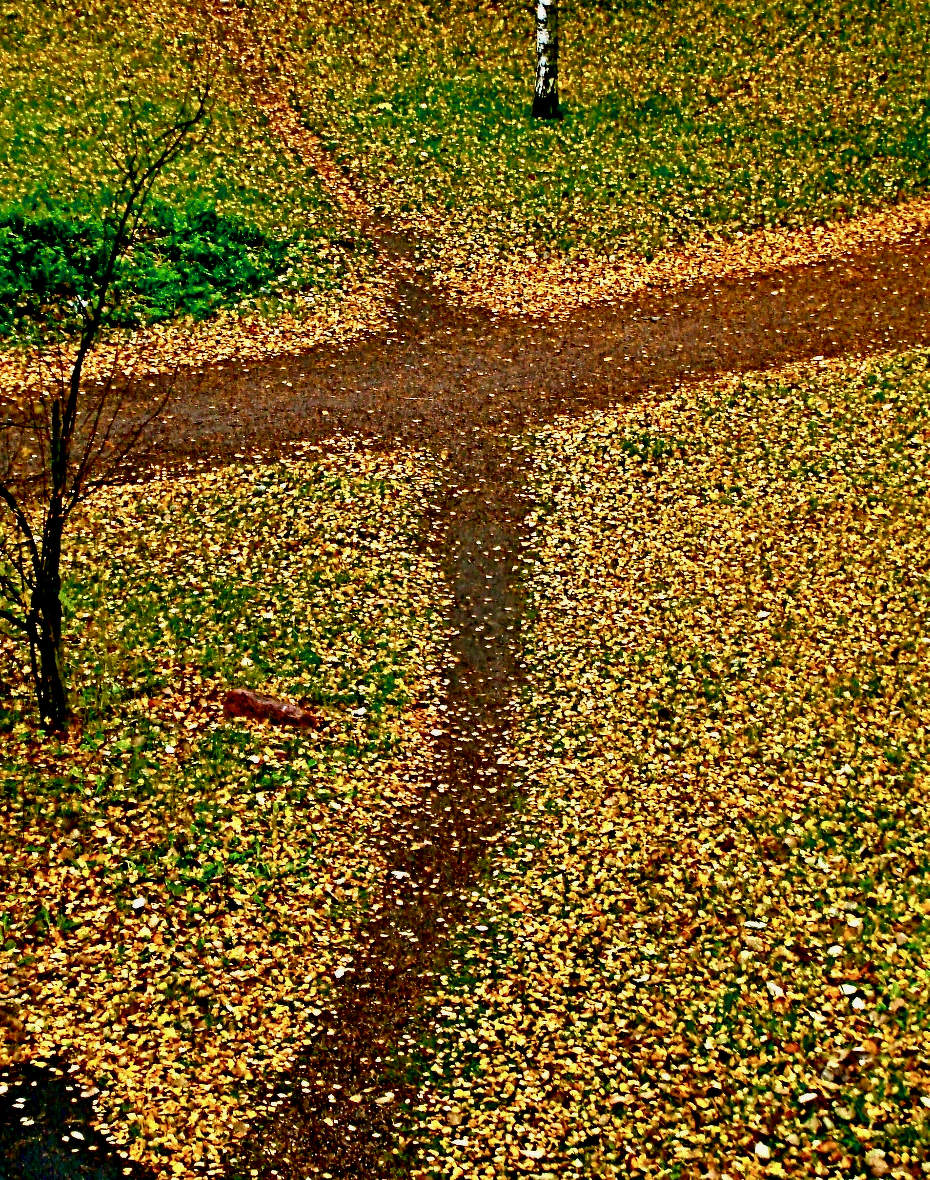 Птица-осень... пролетает...