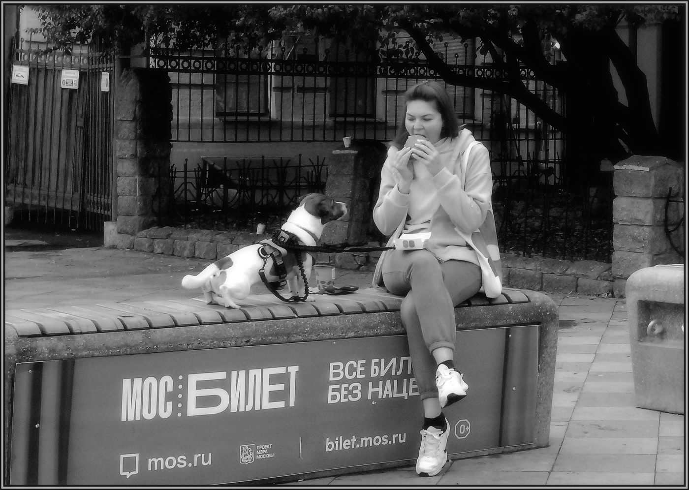 ...... - Ну хоть кусочек !....