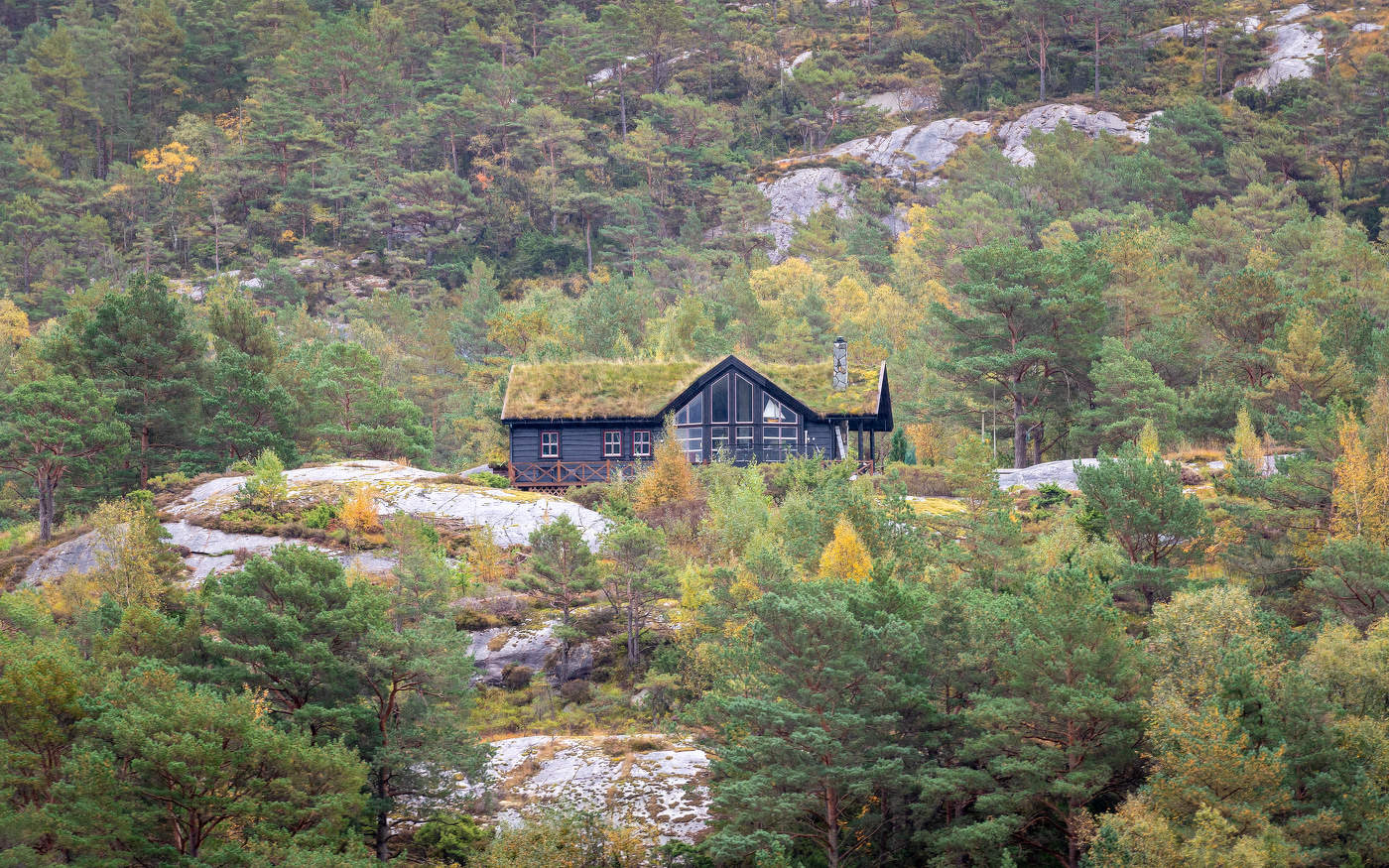 ДРОНОзащита