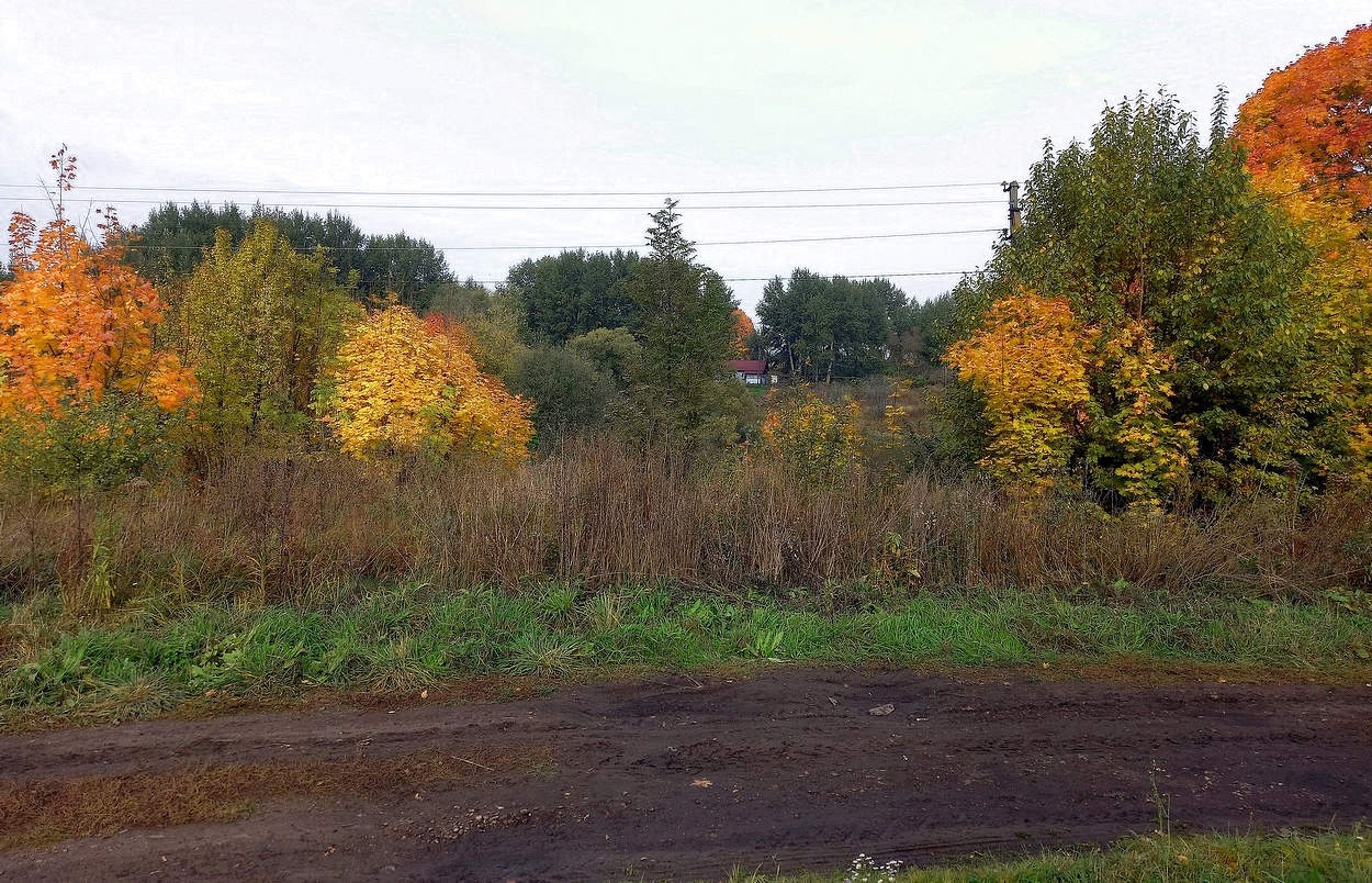 Деревня спряталась в осени