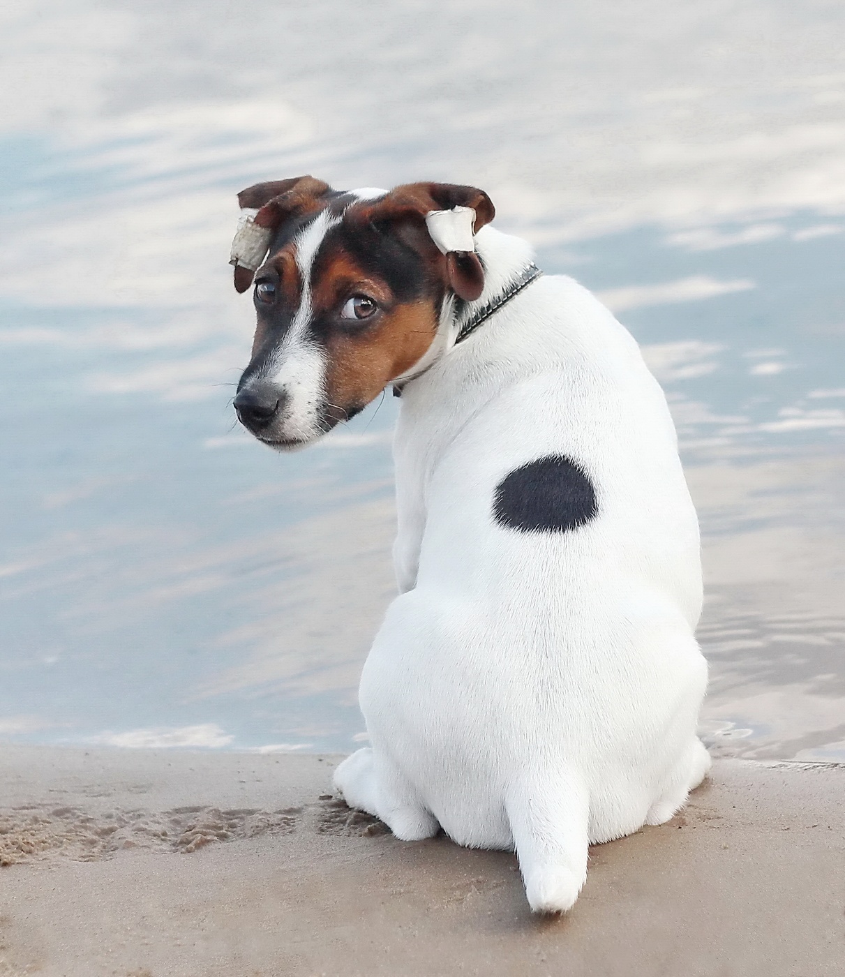 Фигура первая, печальная! )