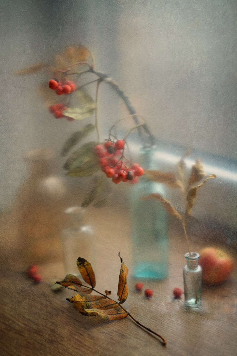 Про осень на моём подоконнике...