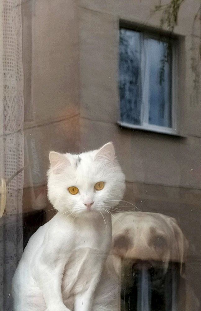 Спонтанный портрет