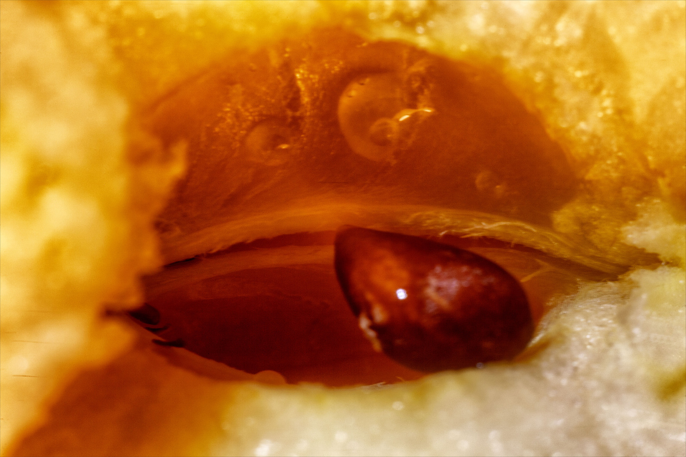 Жизнь вокруг