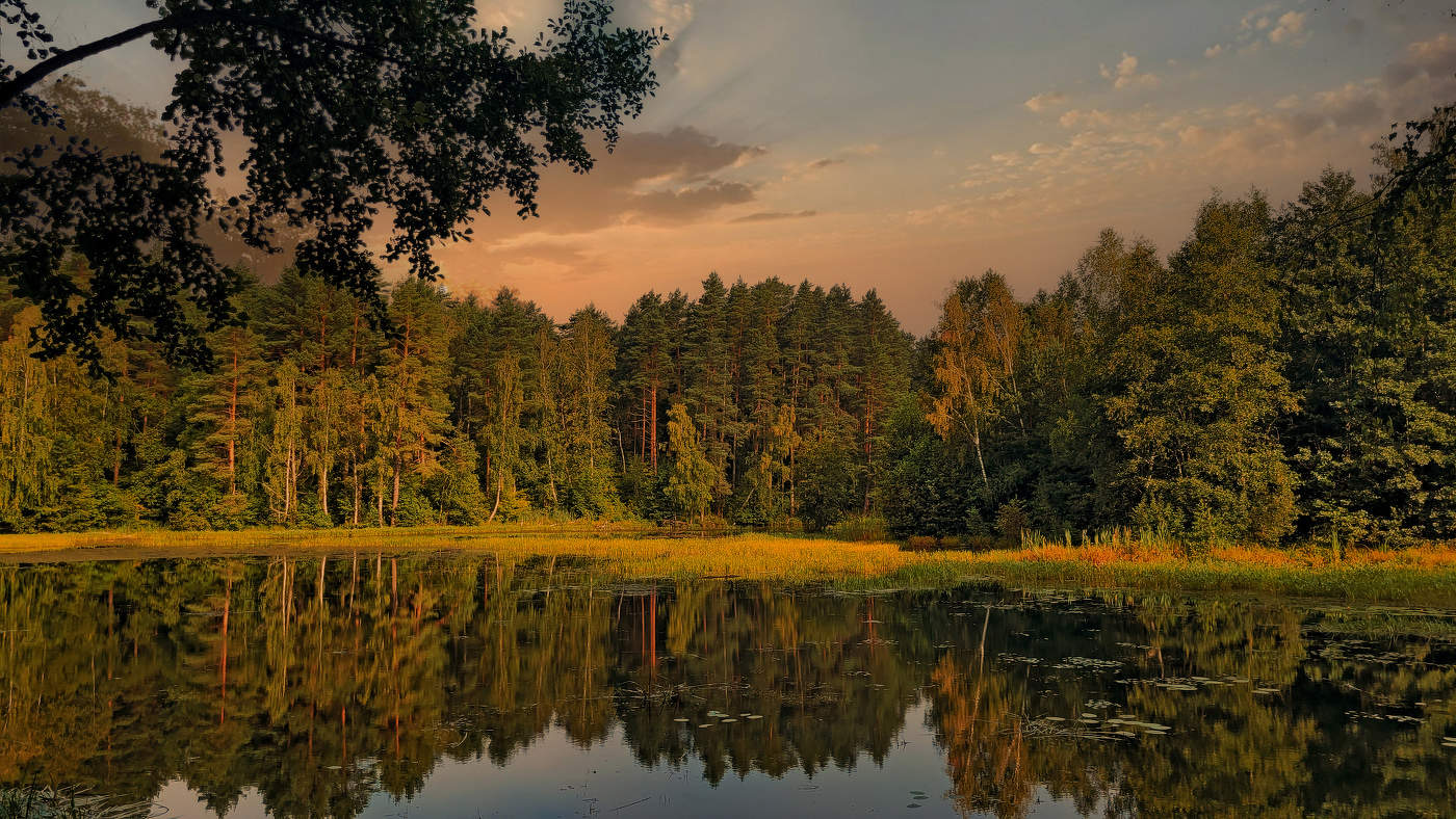 Ближе к вечеру.