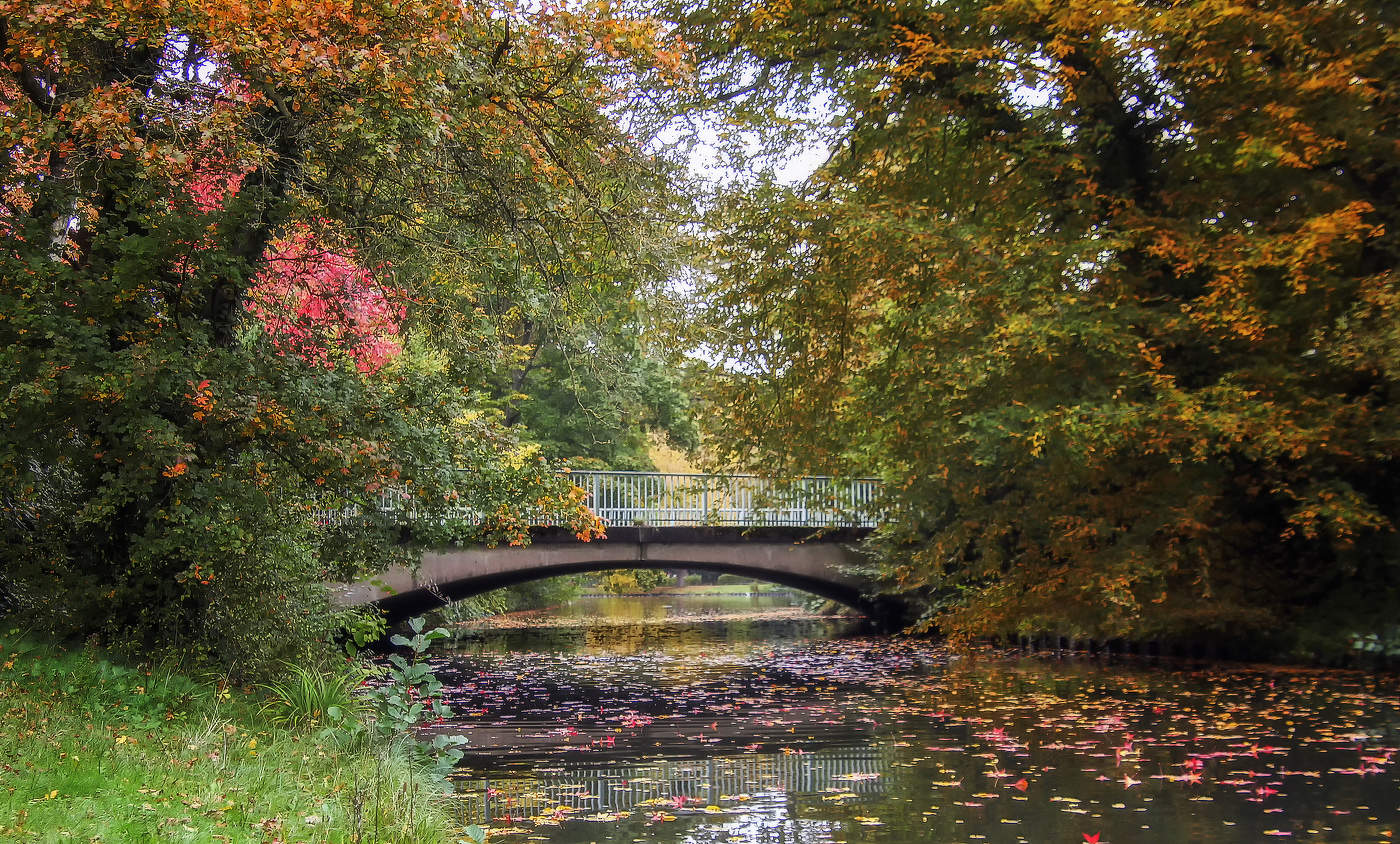 Краски осеннего парка