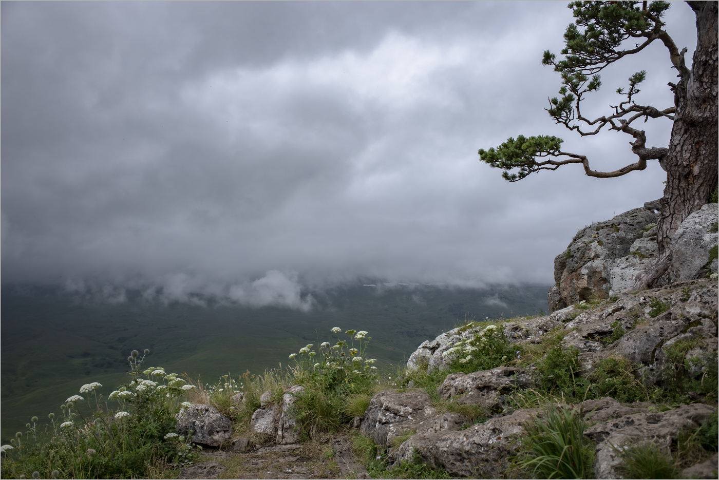 На краю обрыва