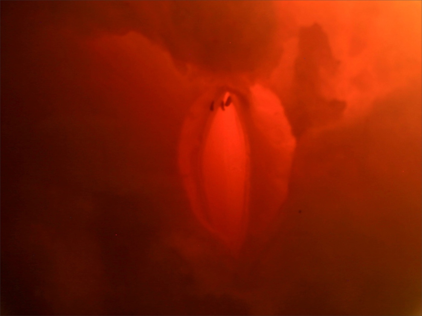 Жизнь вокруг