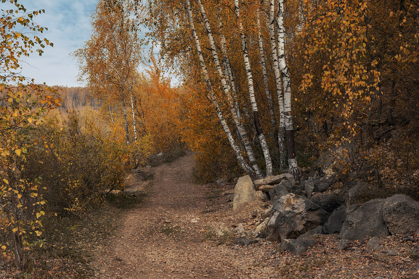 Дорога в осень.