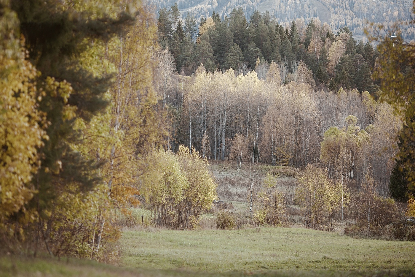 три поколения..