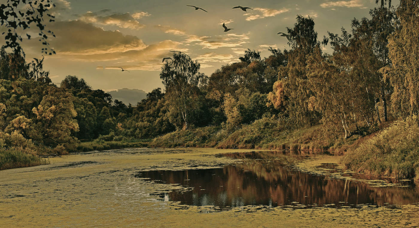 В предчувствии осеннем.