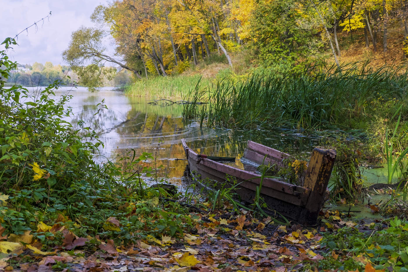 Осенняя грусть