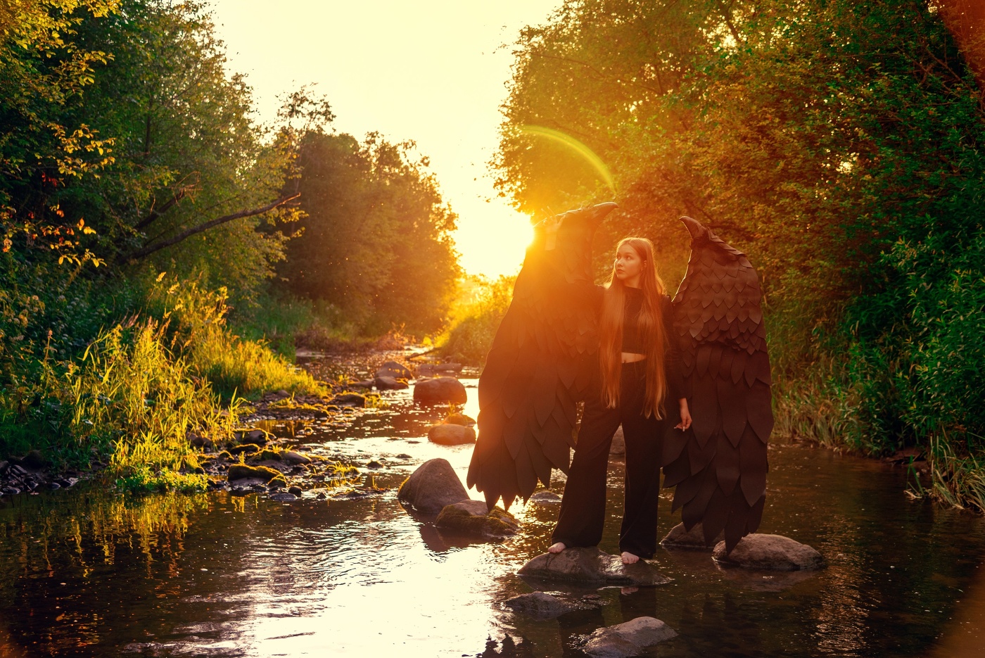 На крыльях на закате