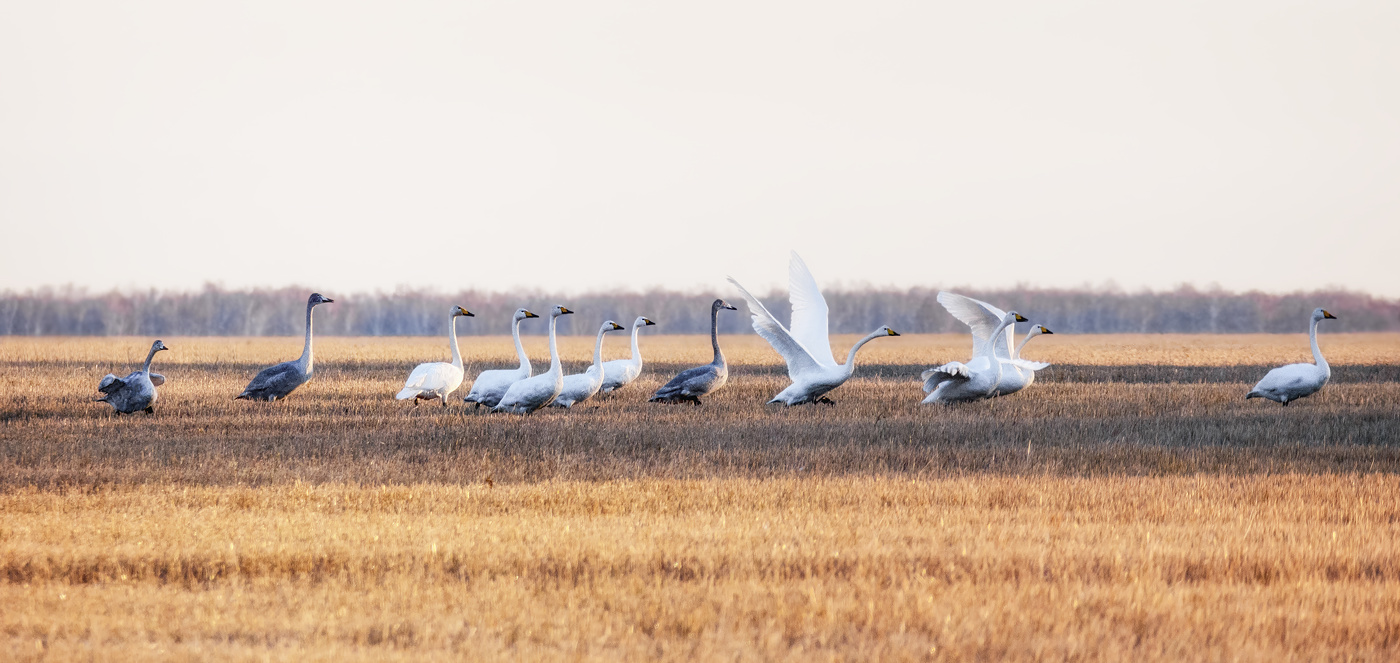 уроки полётов..